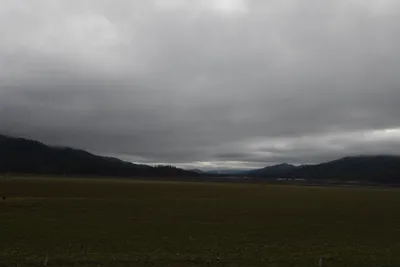 DSC_5855 (Large).JPG